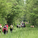 Randonnée La Chapelle Gauthier - Bombon - 21/05/2016