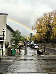 rain and bows