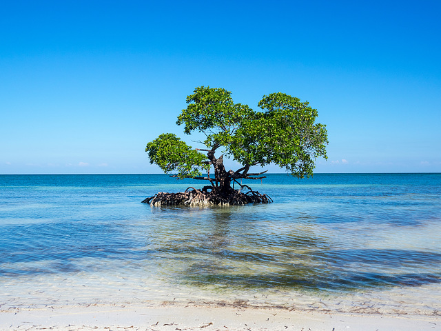 Cayo Jutías, Cuba