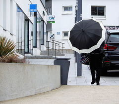 Bon lundi sous la pluie