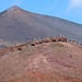 Mount Etna- Silvester Craters