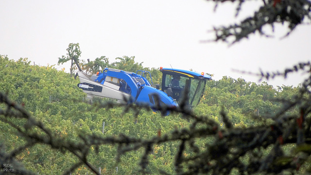 Vendanges à la machine..