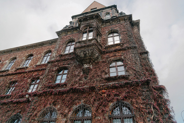 Musée National de Wroclaw