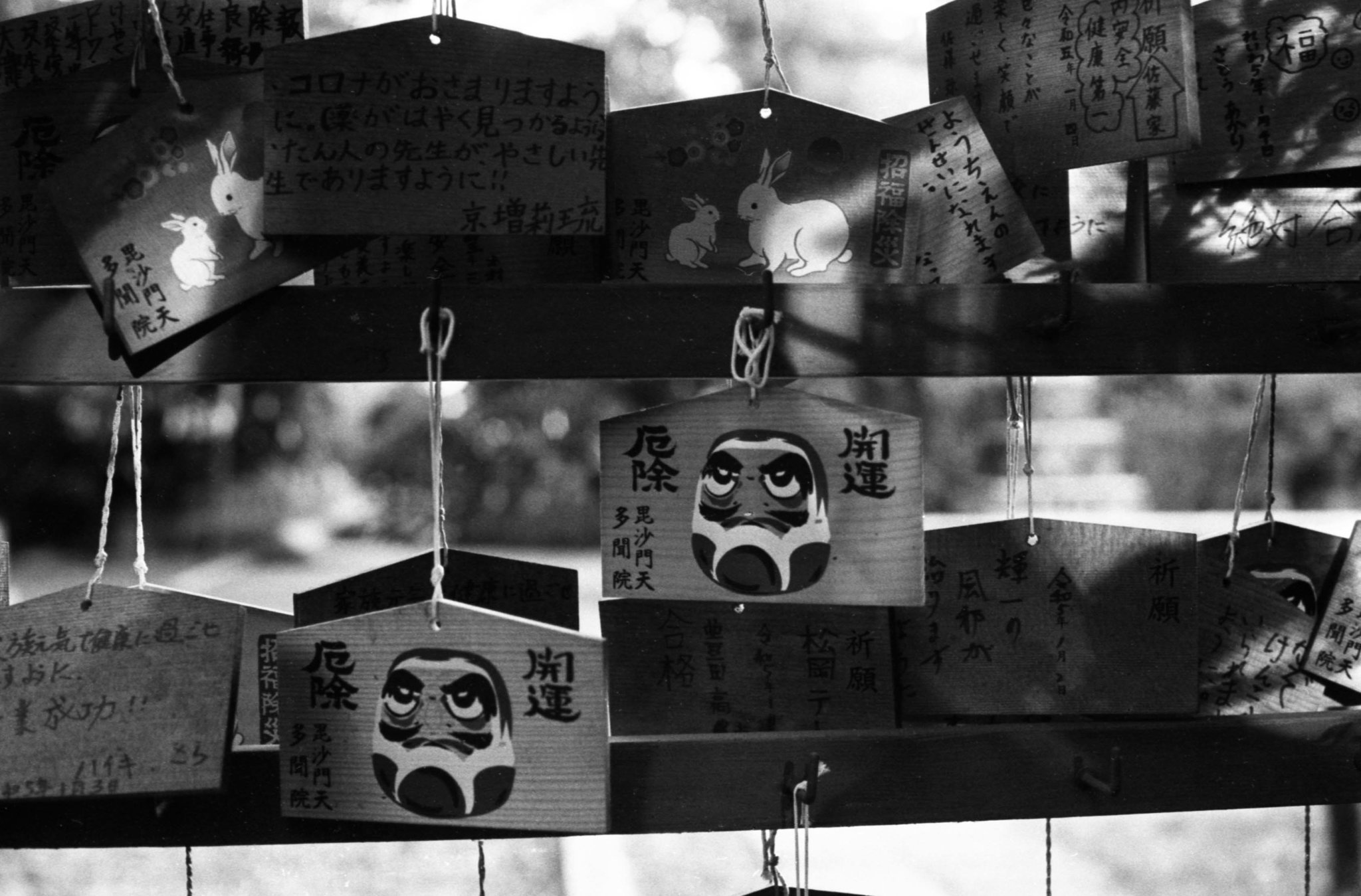 Daruma on tablets