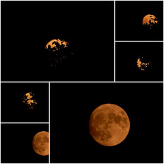 La pleine lune des fraises
