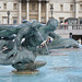 London, Fountain in Trafalgar Square (detail)