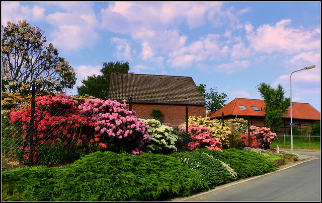 Flower Corner