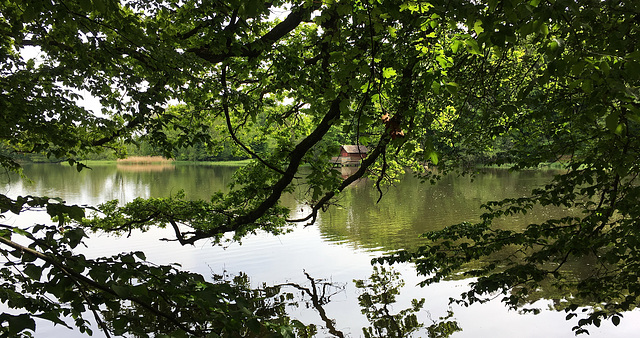 Grossweiher