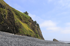 Yaquina Head