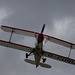 braug112019 (1121)