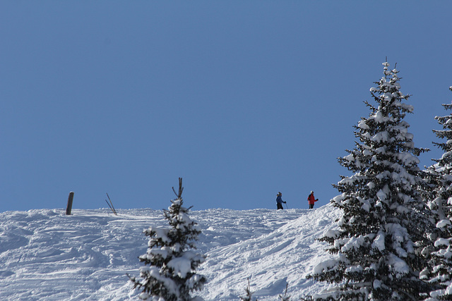 Am Bärenbadkogel