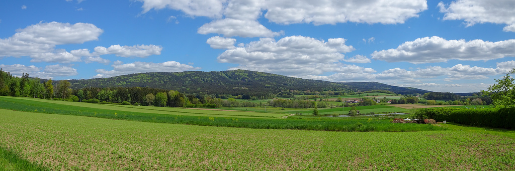 Signalberg mit Ruine Frauenstein
