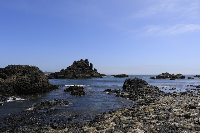 Yaquina Head