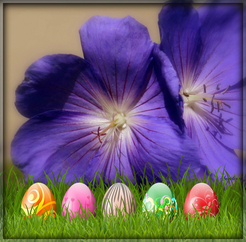 Happy Easter.............Bon dimanche Pascal !