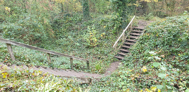 Dinas Powys Hill Fort