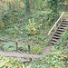 Dinas Powys Hill Fort