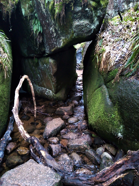 Entrance -Burn O' Vat, Cairngorms.