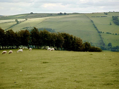 Looking south along the Shropshire Way on the Cefns