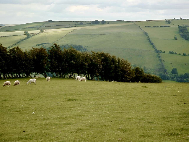 Looking south along the Shropshire Way on the Cefns