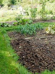 The allotment