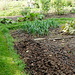 The allotment