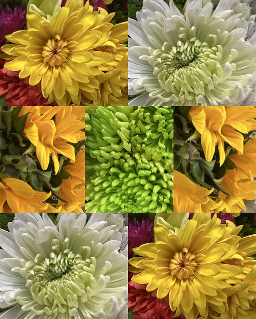 Spring Flowers at Costco