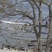 Ostsee-Angler