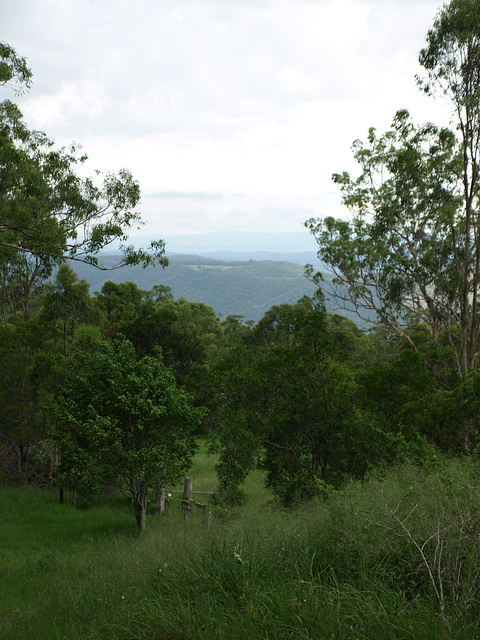 AustraliaDay2015 800 AustraliaDay2015 800