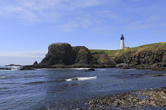 Yaquina Head