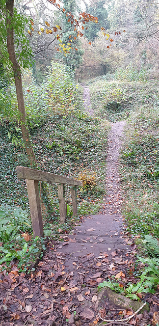 Dinas Powys Hill Fort