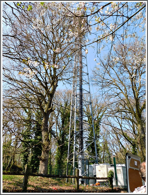 Au site de Brandefert à Plancoet