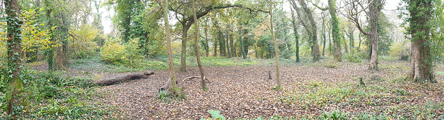 Dinas Powys Hill Fort