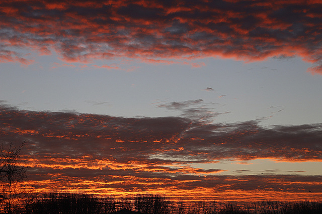 Un jour nouveau ! +300.000 visiteurs