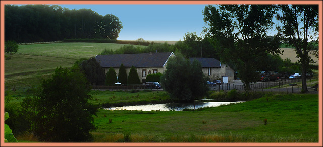 Old Farm, Vogel Zang