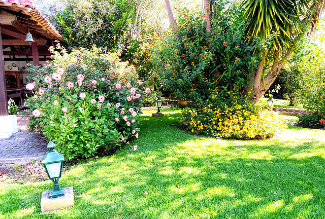 The stereophony of my garden