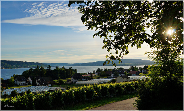 Abendstimmung am Untersee