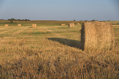 August 6 bales 1