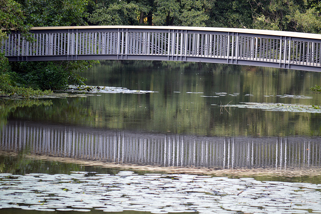 Brücke über den Teich