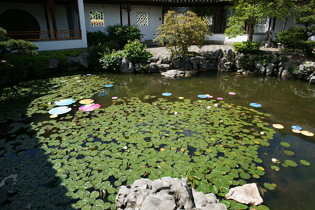 Dr Sun Yat Sen Chinese Gardens