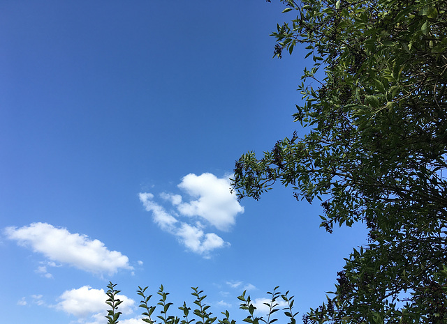 Après la pluie le beau temps