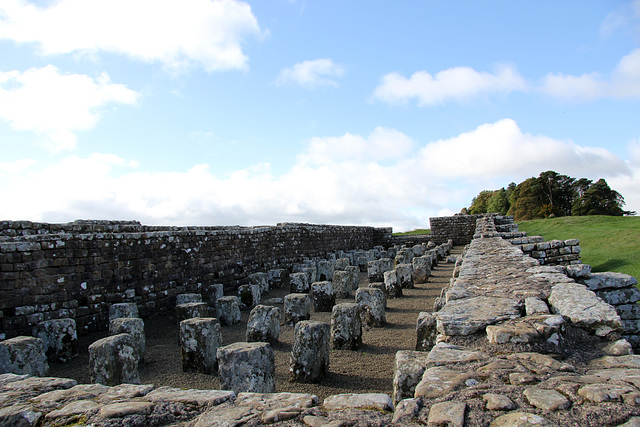 HWW from Housesteads Roman Fort