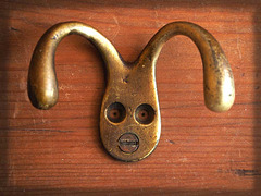 Pareidolia
