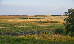 bales and road-sunrise