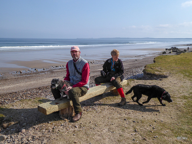 Bench overlooking Findhorn Beach