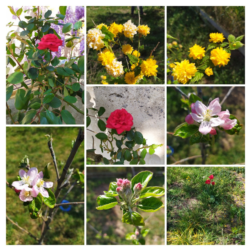 Printemps
