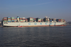 COSCO ITALY COSCO ITALY