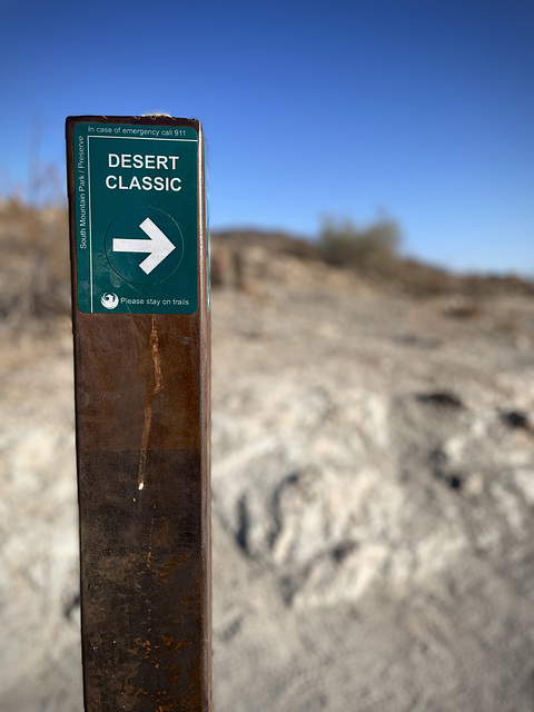 Desert Classic loop, South Mountain