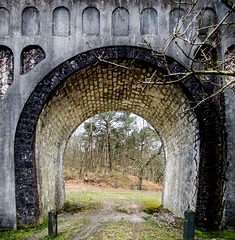 Forêt de Fontainebleau