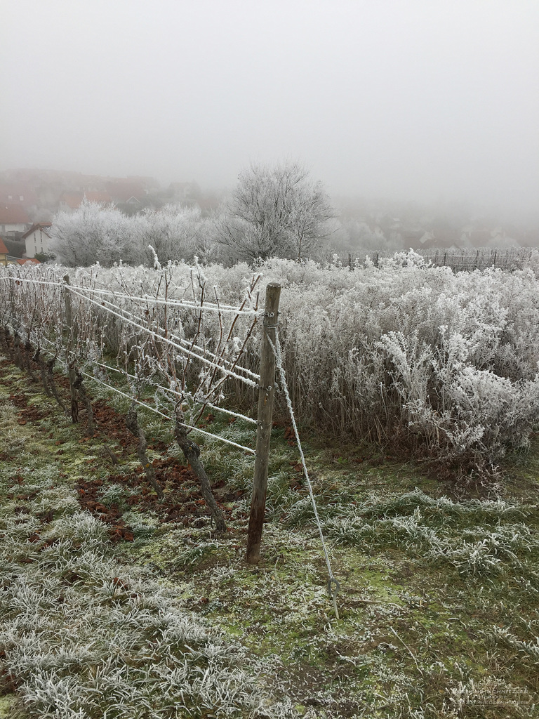 Winter IV