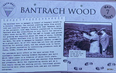 Bantrach Wood signage